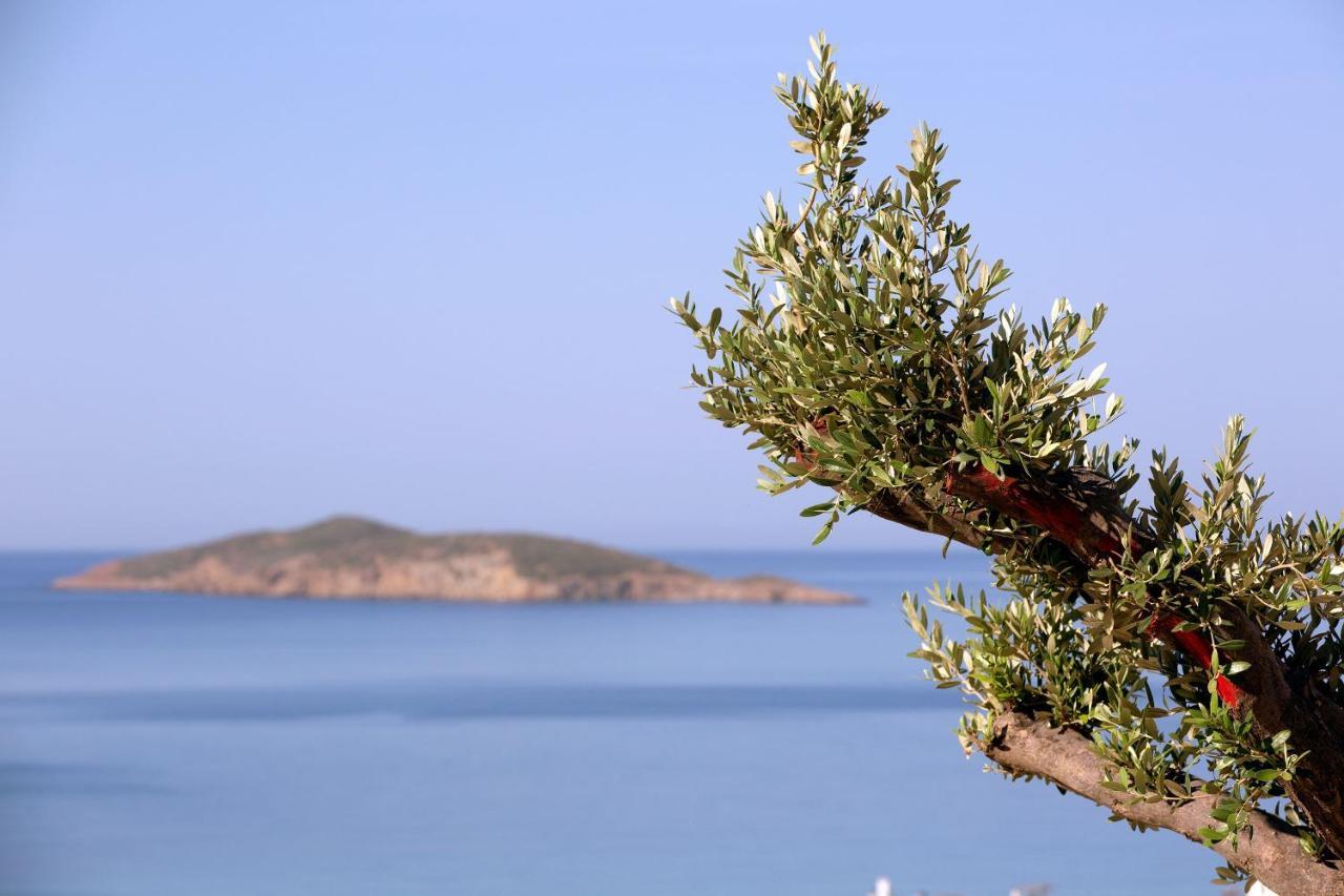 Elia Privileged Suites Andros Ανδροσ エクステリア 写真